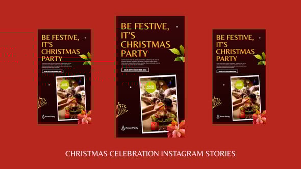 Christmas Celebration Instagram Stories