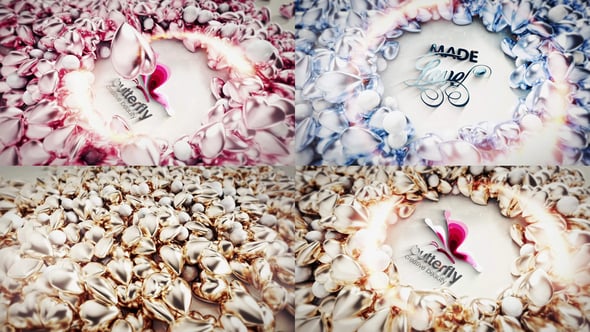 Timeless Love Unveil